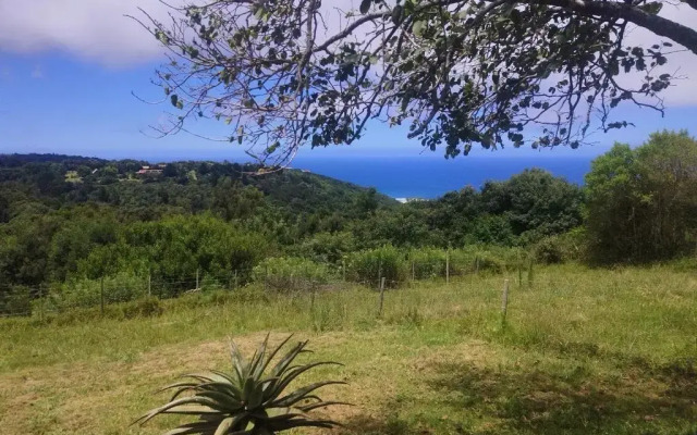 Ocean View Bushcamp Wilderness Glamp tents