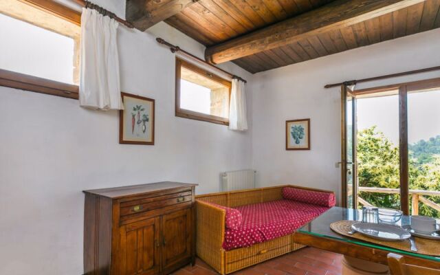 Podere Cima a Zano / Apt.Fienile PCA107