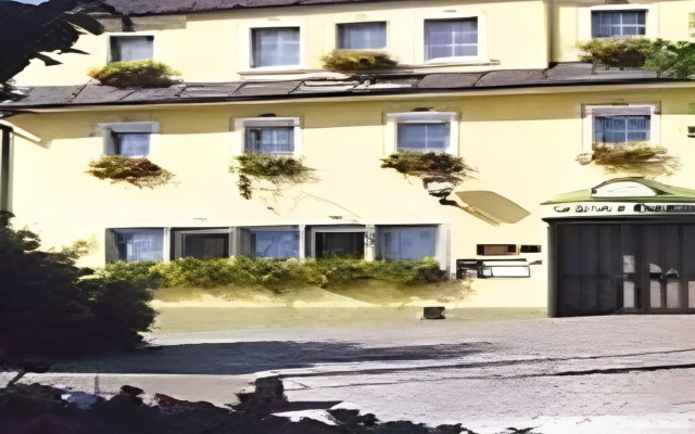 Hotel & Gasthof Grüner Baum
