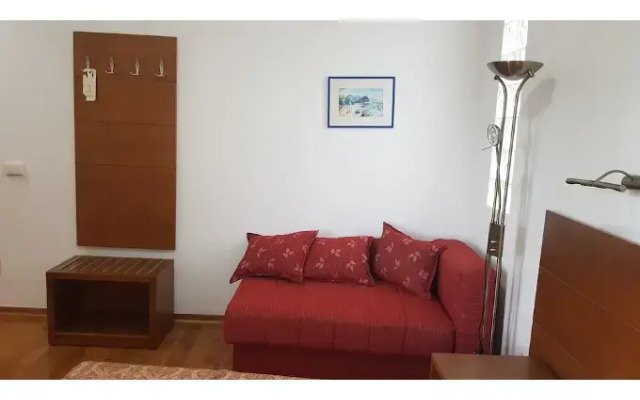 Hotel Paun