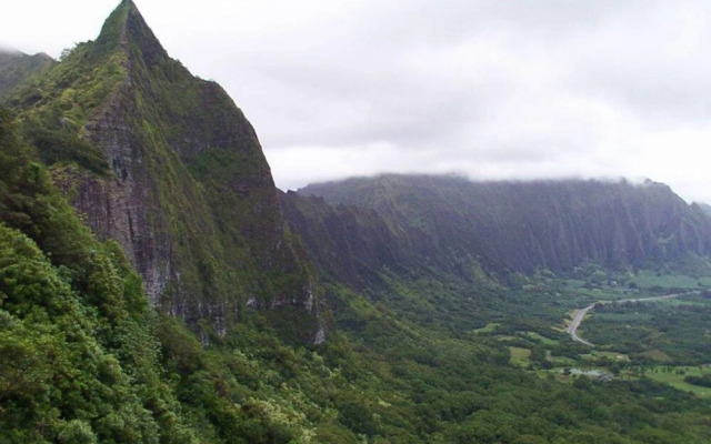 Kuhio Village 410A - 1 Br Condo