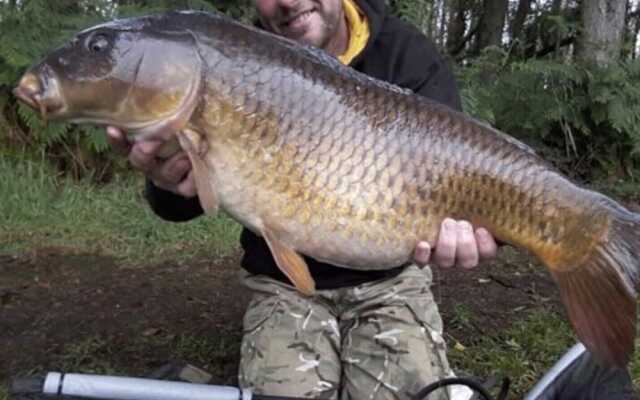 Snowdonia Holiday Cabin In Caernarfon North Wales