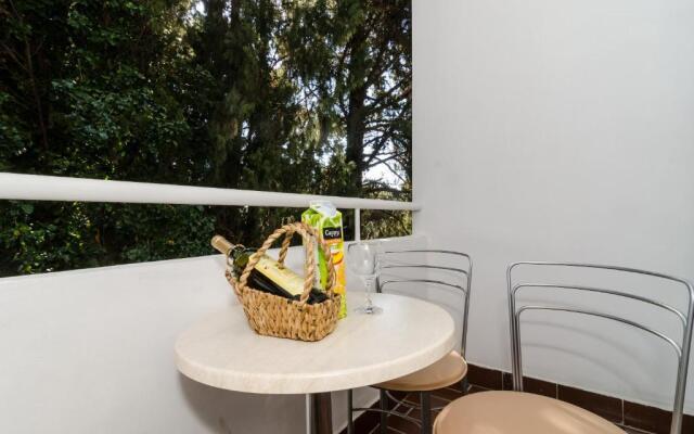 Apartment Iva 31