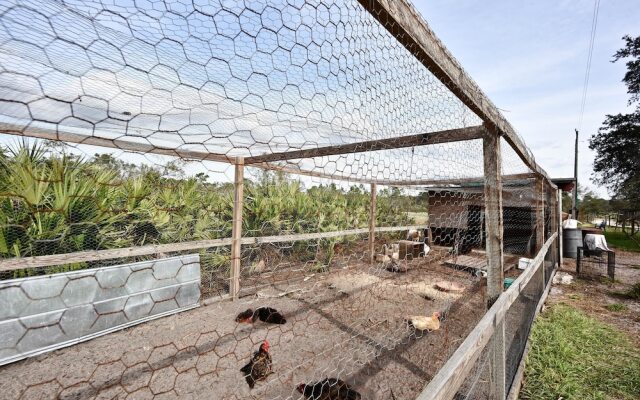 40-acre Farm w/ Animals & Fishing in Sebring!