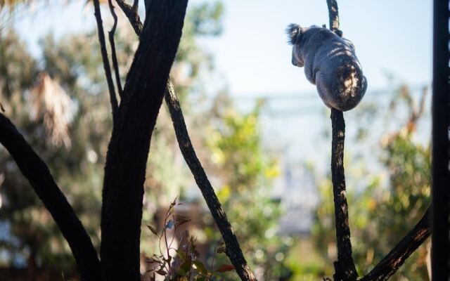 Wildlife Retreat at Taronga