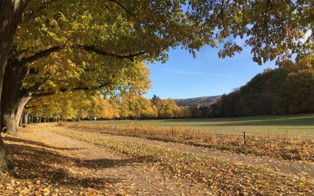 Suite mit Blick auf die Lichtentaler Allee