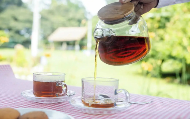 The Baradighi Bungalow - A Heritage Tea Resort