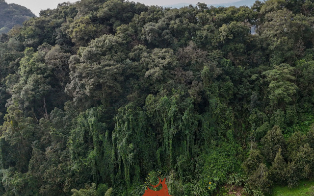 La Jicarita Eco Hotel