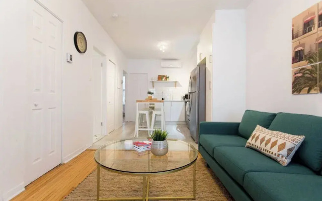 Live Like a Local in Le Plateau