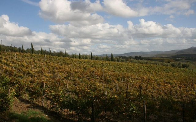 Agriturismo La Chiusa