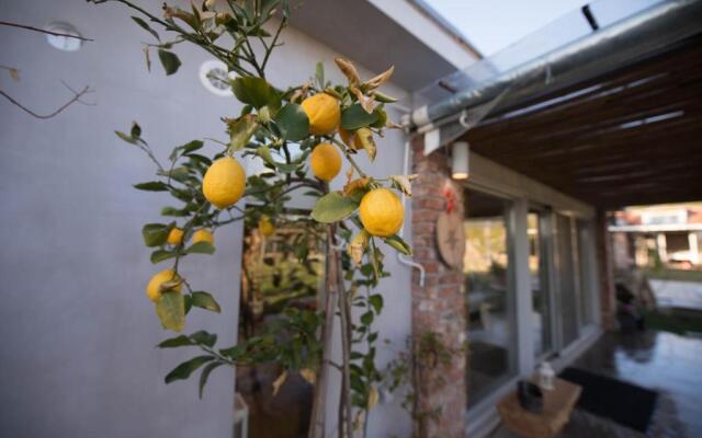 Sinanis Garden House
