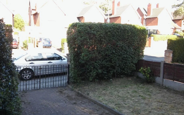 Willodean