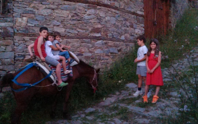 Q.pova house