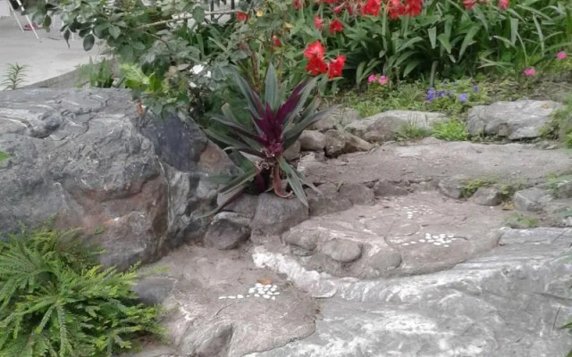 Taitung Linyuan B&B