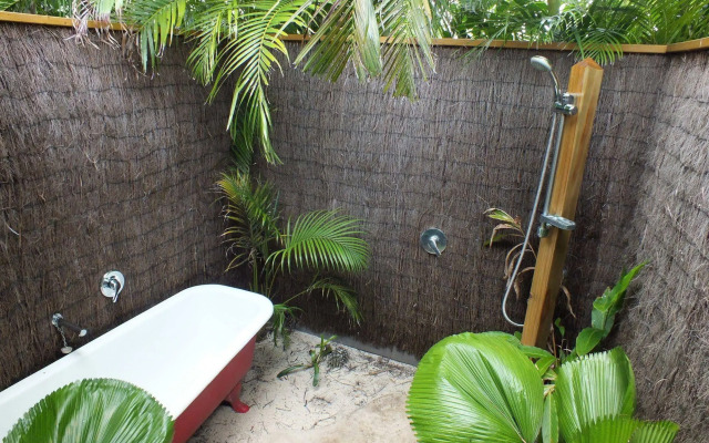 Rarotonga Daydreamer Escape