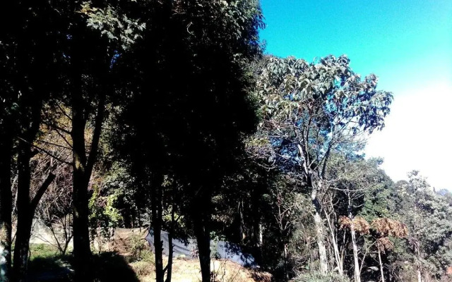 Sapa Ham Rong View Hotel