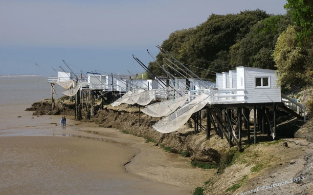 Villa l'Olivier, Chambre d'Hôtes Les Volets Bleus