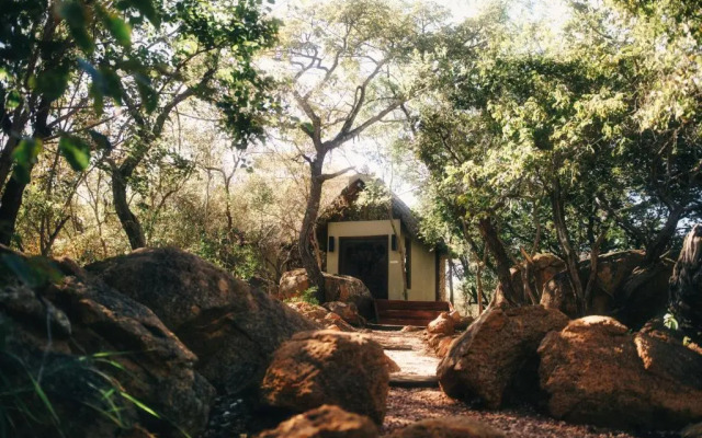 Wild & Free Game Lodge