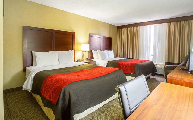 Comfort Inn Downtown