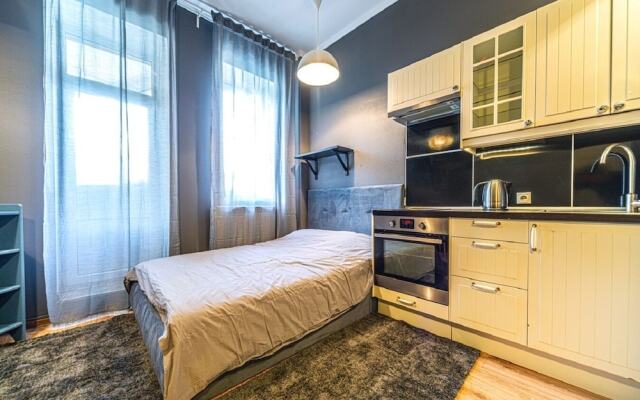 Апартаменты Loft Petrograd 2