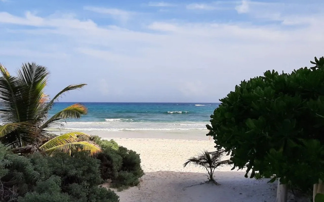 Hotel Roc Luxe Tulum - Adults Only