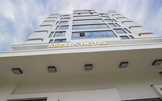 Aselia Hotel Trabzon