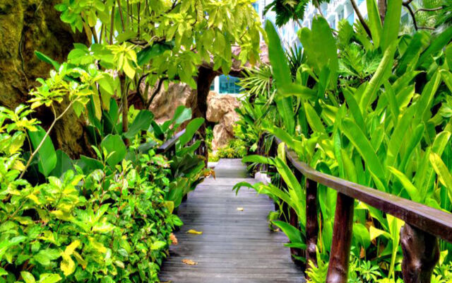 Amazon Residence Pattaya Jomtien