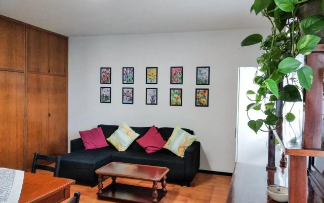 Casa Scotty 2