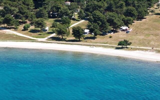 Apartment Andrea / Galery one Bedroom