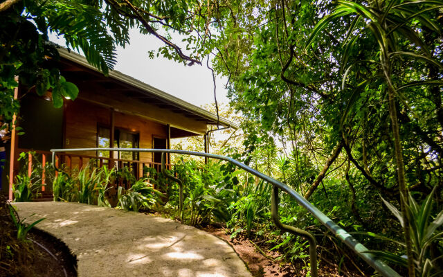 Jaguarundi Lodge