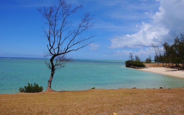 The Kiter's Nest