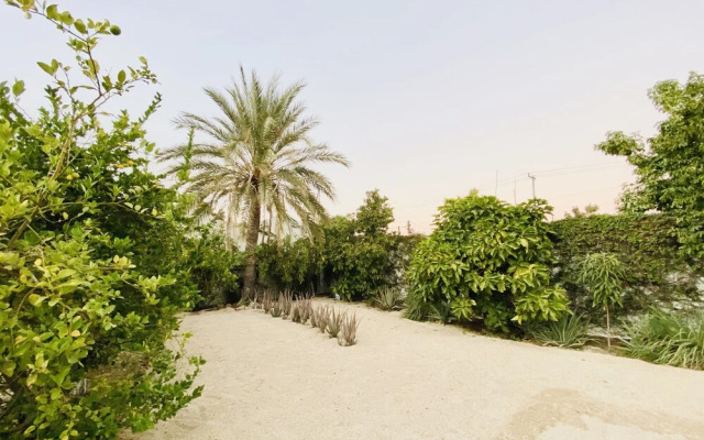 CABO BOHEMIA Tropical Garden Studios