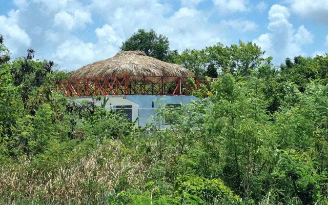 Luxury House Bungalow and apartments La Botánica Tropical