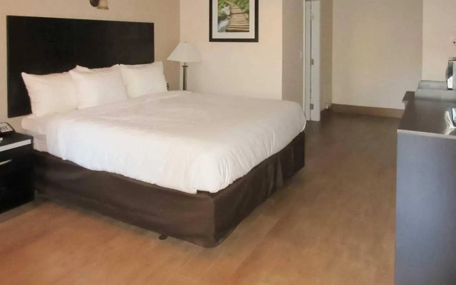 Quality Inn & Suites near Downtown Bakersfield
