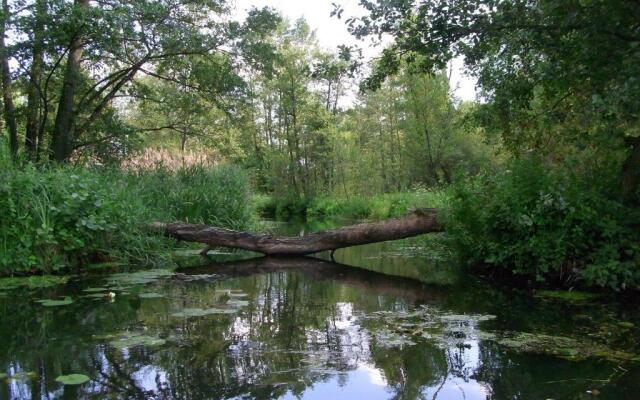 bluming inn - Ferienwohnung im Spreewald