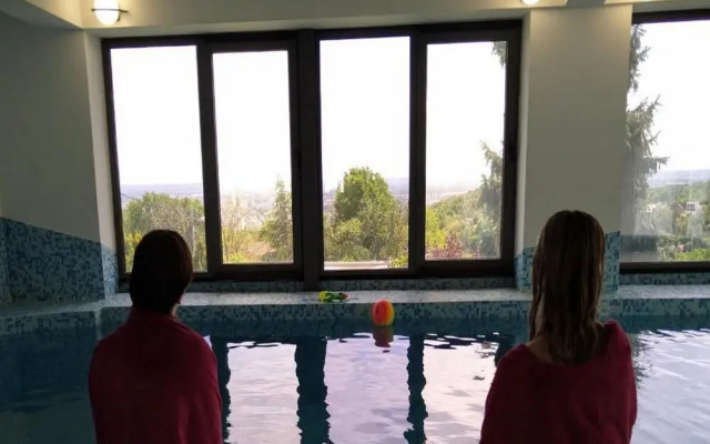 Villa Wolkenhawk - Five Bedroom Villa With Indoor Swimming Pool