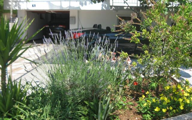 Ljuba - Nice Garden - A2 Plavi