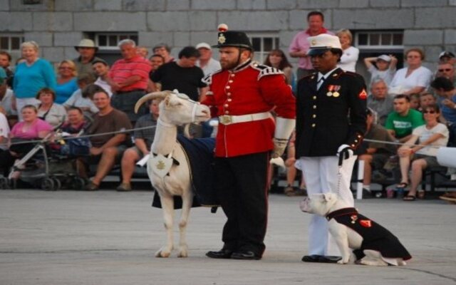 Holiday Inn Express & Suites Kingston Central by IHG