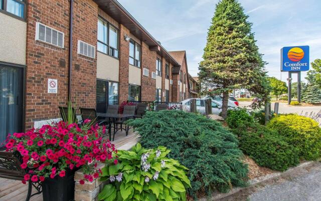 Comfort Inn Sault Ste. Marie - Canada