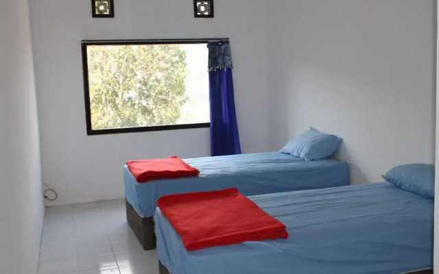 Cahaya Bukit Cemara