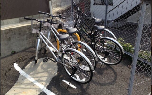 Enishi Toufukuji Kyoto