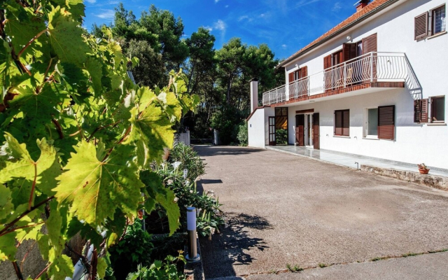 Sun Filled Apartment in Pakostane Dalmatia With Garden