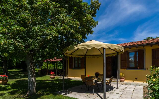 Agriturismo Tuscany With Panoramic Pool