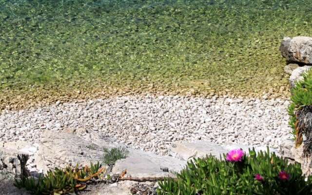 Sea View - 7 m From Beach - A1