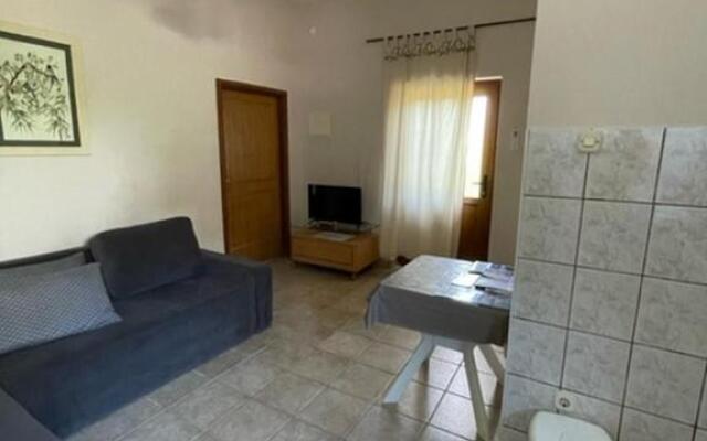 Apartment Ivan Njivice