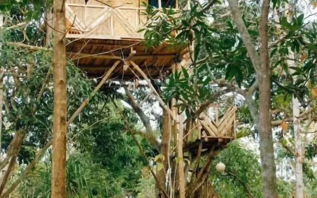 Nyuh Bengkok Tree House