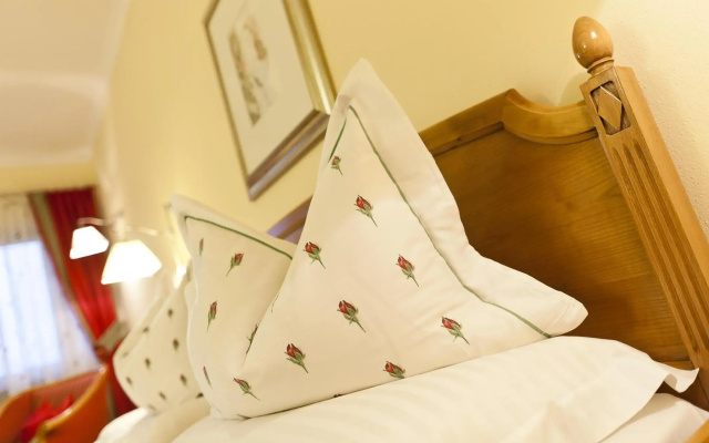 Hotel Aster