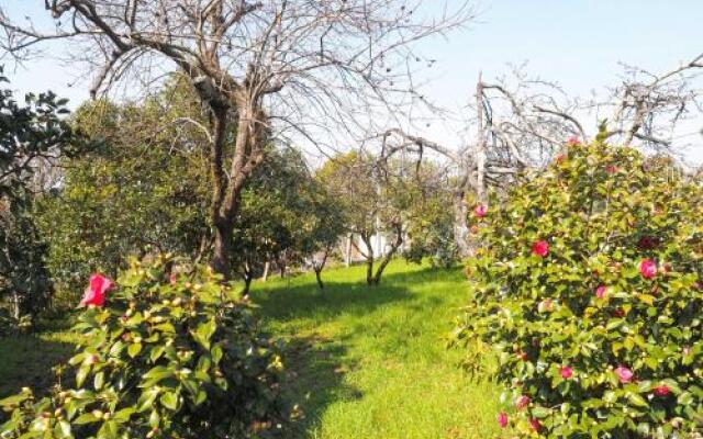 Quinta Drº Amarante