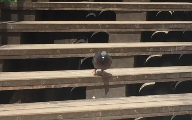 Mori 1 Con Bella Vista Nuovo Appartamento