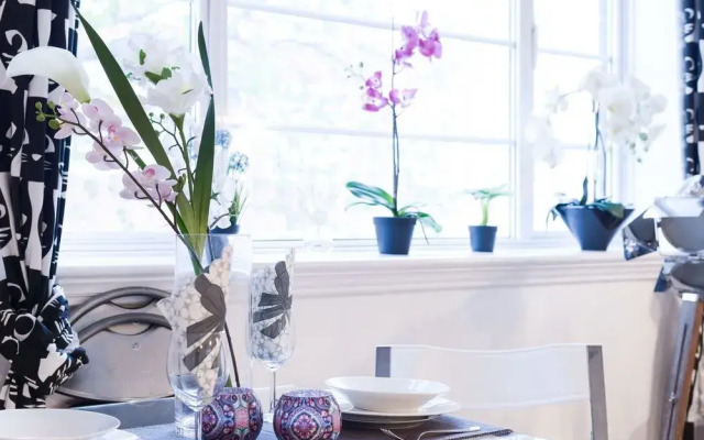 Leicester Square 1 Bedroom Apartment